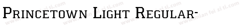 Princetown Light Regular字体转换